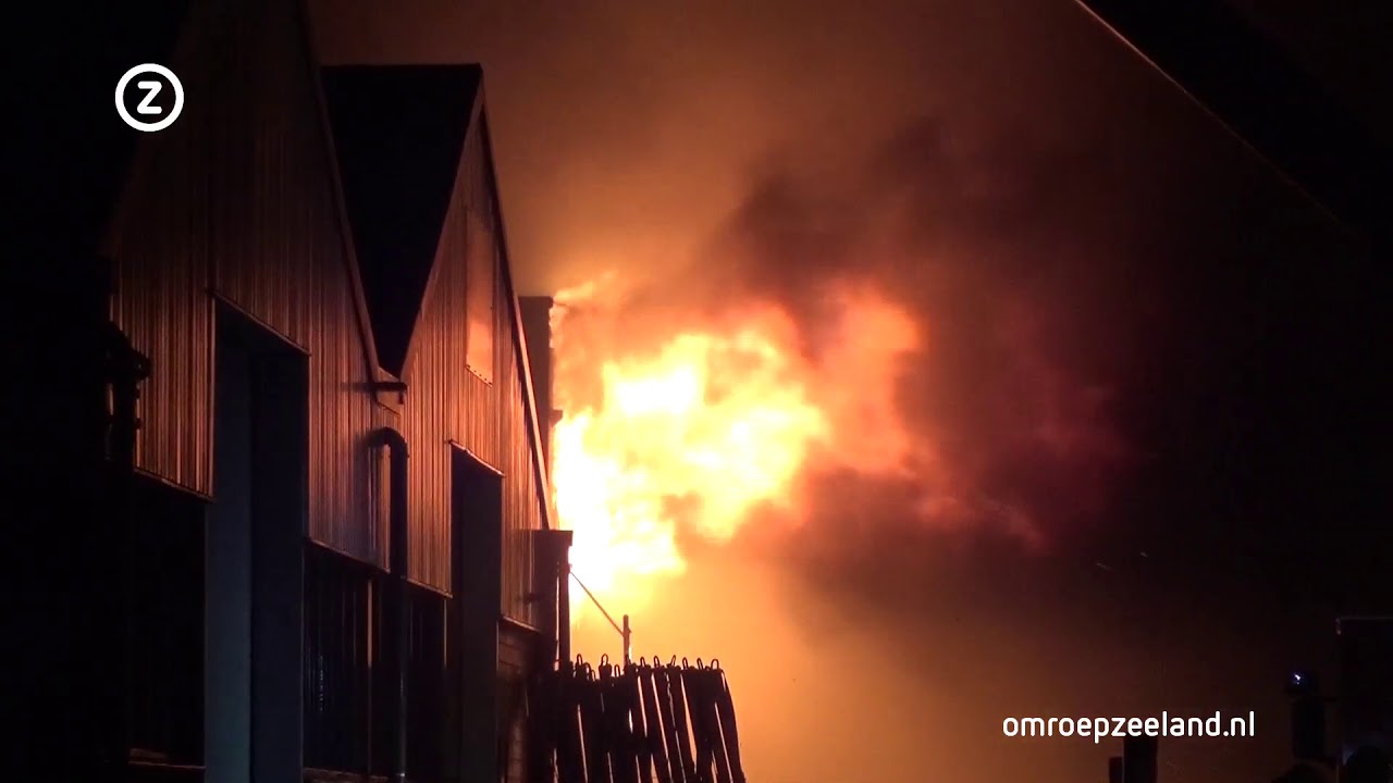 Grote uitslaande brand bedrijf Sint-Maartensdijk