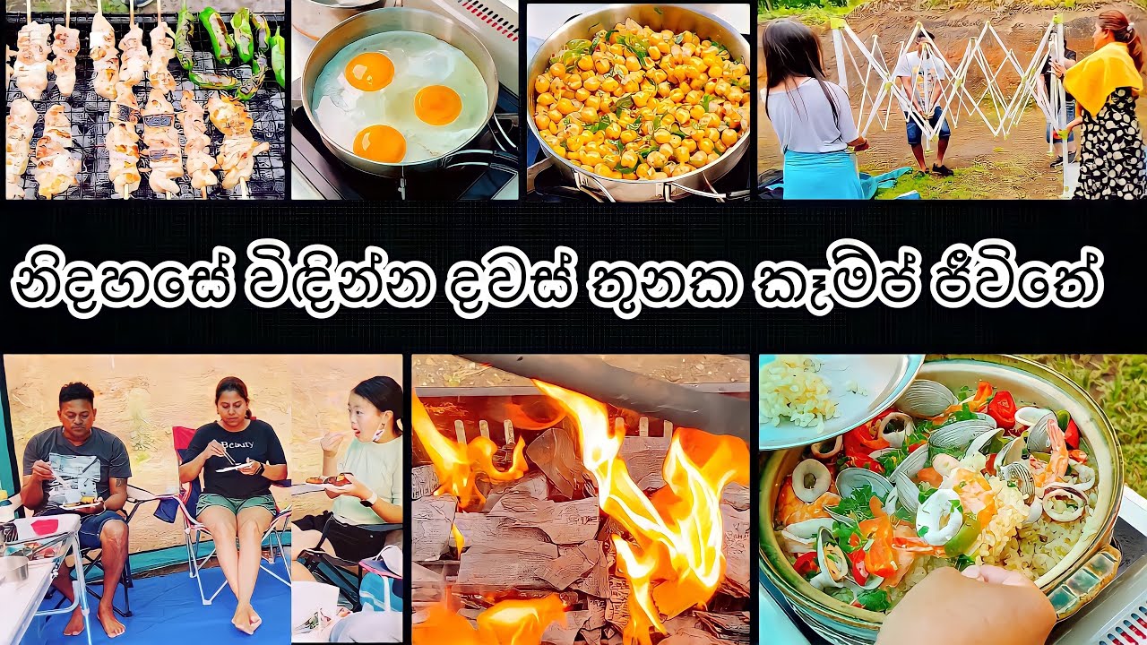 අපේ දවස් තුනක කෑම්පින් ජීවිතේ⛺️Camping Vlog🏕Life in japan🇯🇵🇱🇰