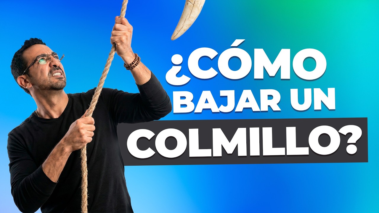 como bajar un colmillo