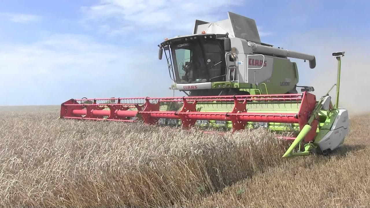 Treierat grau - Maxagro Farm