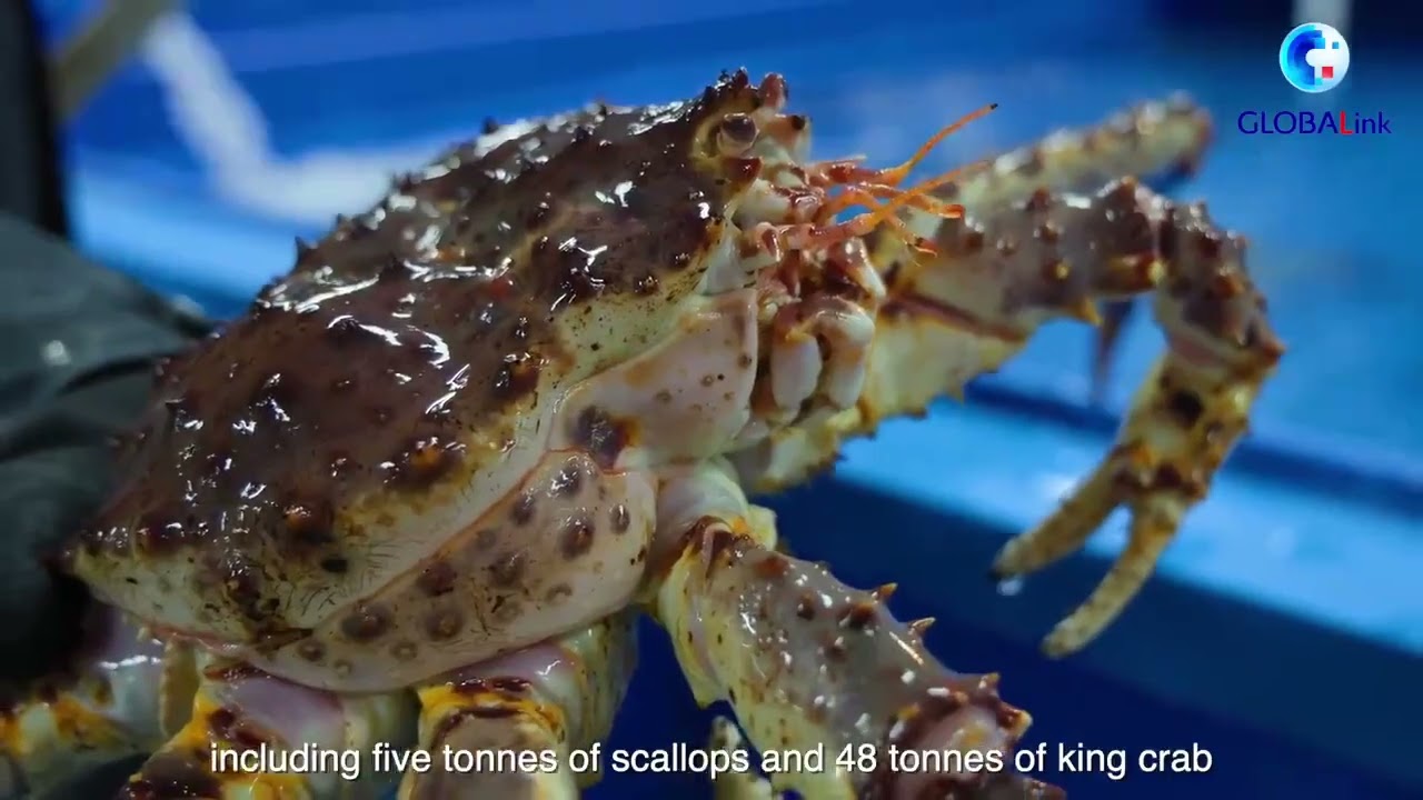China Russia border hub boosts seafood imports ahead of Spring Festival