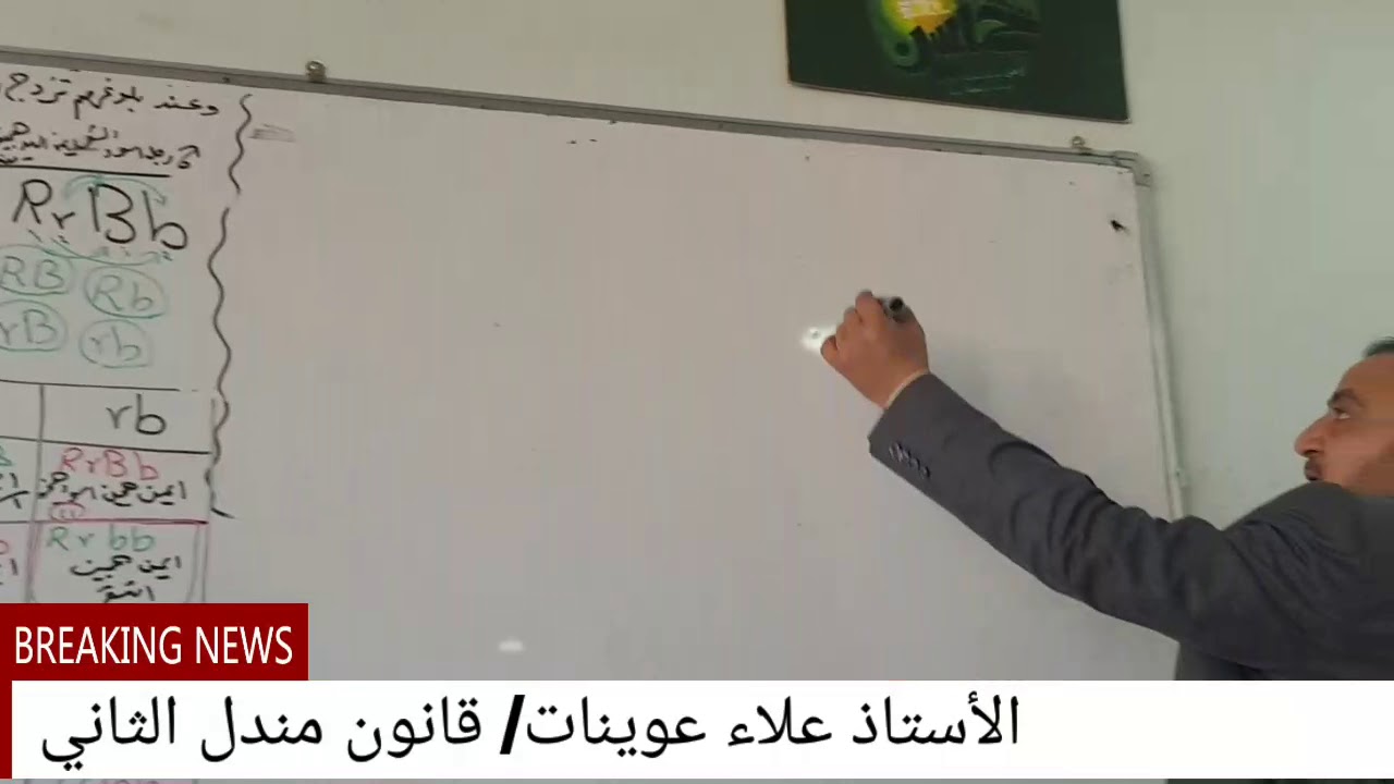 المحاضرة (٤) شرح النسب المظهرية والوراثية قانون مندل الثاني