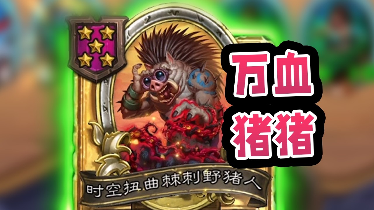 比七本猪还好用的扭曲荆棘猪！普通鹦鹉普通瑞文就能上万！