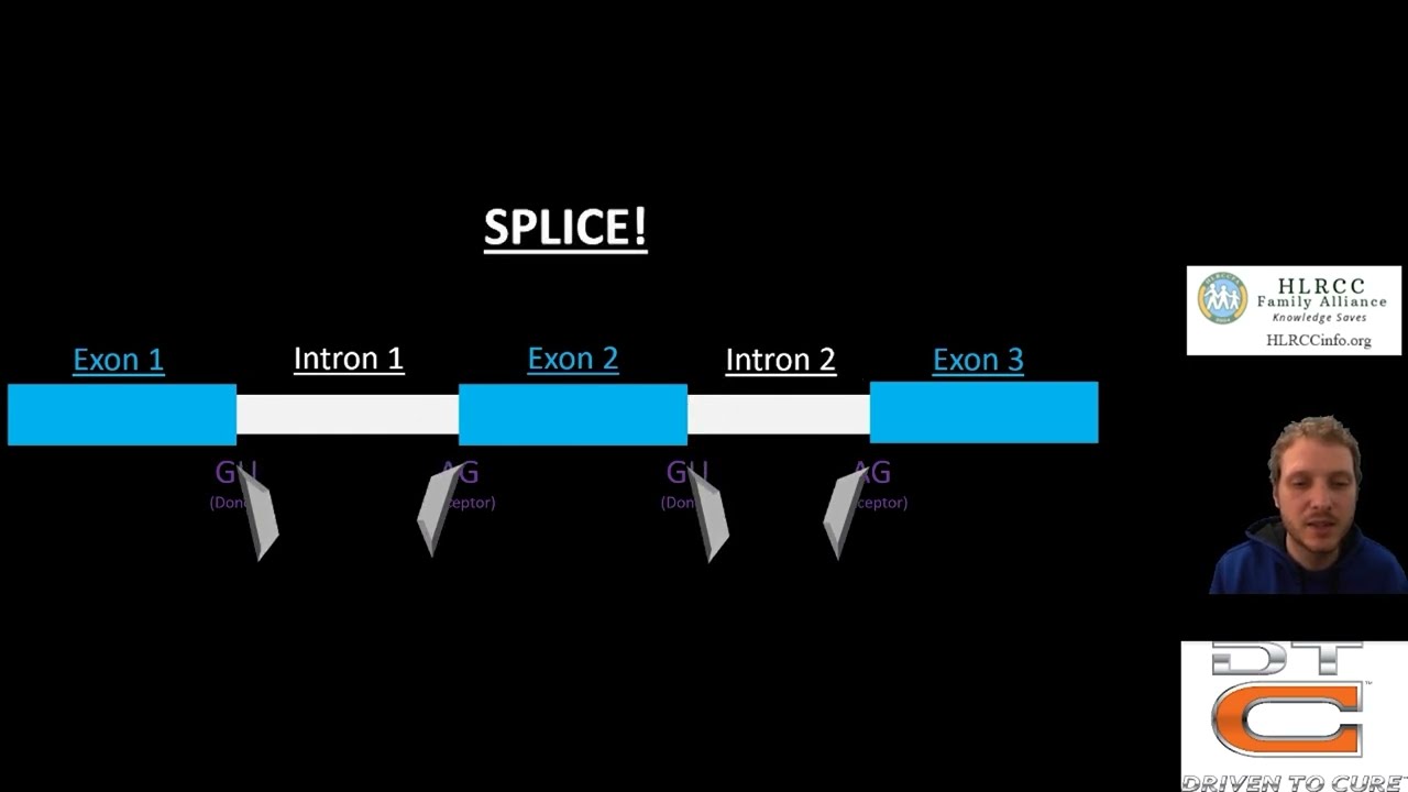 Genetic Mutations Explained - HLRCC science lecture #2