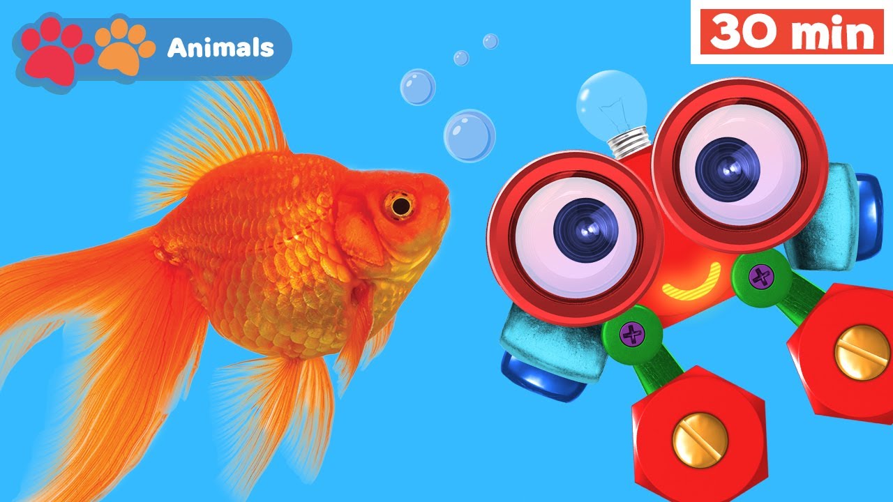 My Animal Friends with Robi | Learn Animals for Kids w Robi | Animals Names & Sounds | First Words