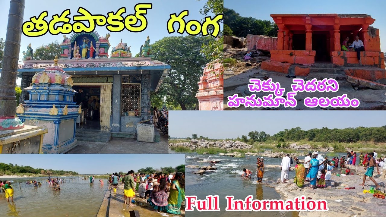 తడపాకల్ గంగ తెలంగాణ  ||ఎంతో చరిత్ర కలిగిన మన గంగ || Tadpakal Ganga Telangana//ganga tadpakalGodavari
