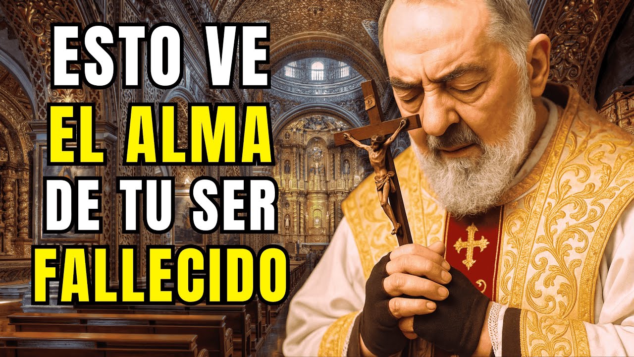 ⚠️PADRE PIO REVELÓ: LO QUE EL ALMA VE DE SU FAMILIA DESDE EL MÁS ALLÁ — ¡POCOS LO SABEN!