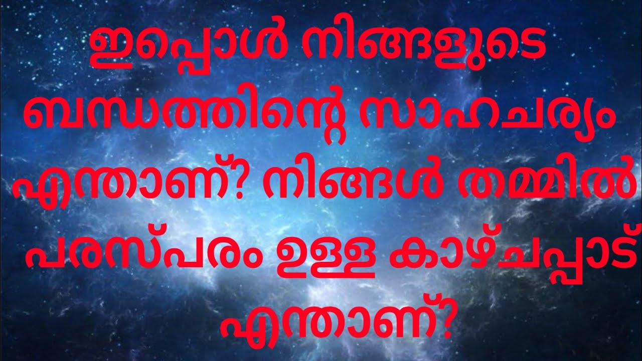 Current Energy #tarot #tarotmalayalam #energy #love #feelingstatus #currentfeelings #tarotreading