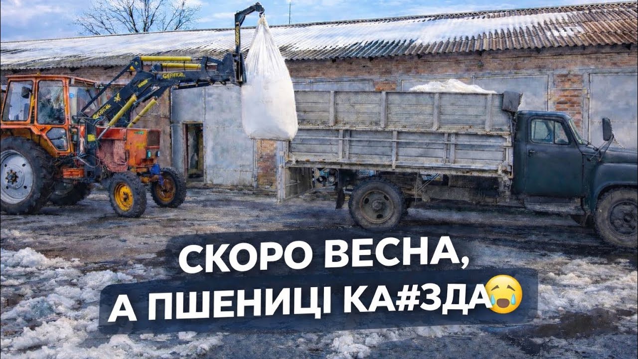 Пшениці торба😔а сілітру проплатили-треба забирать🤷‍♂️ПЕРЕСІВУ бути 🤔😔