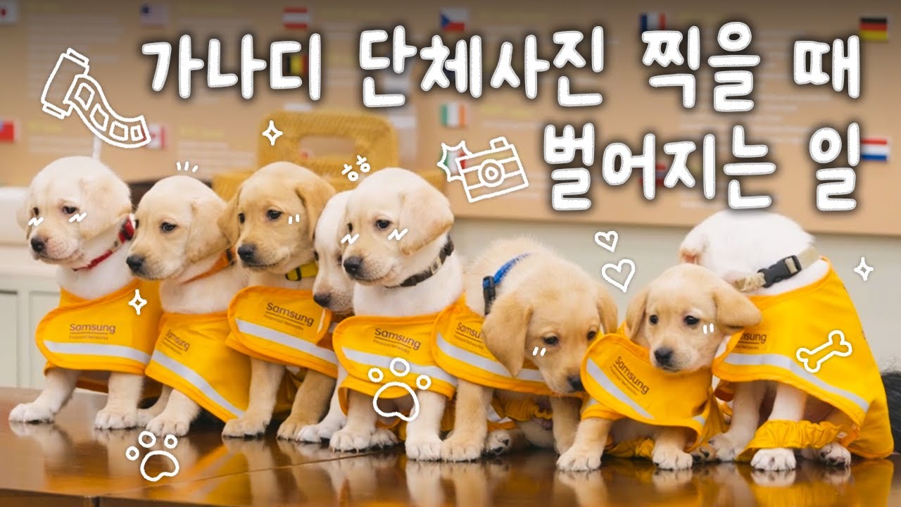 견생 첫 증멍사진 찍던 날 🐾