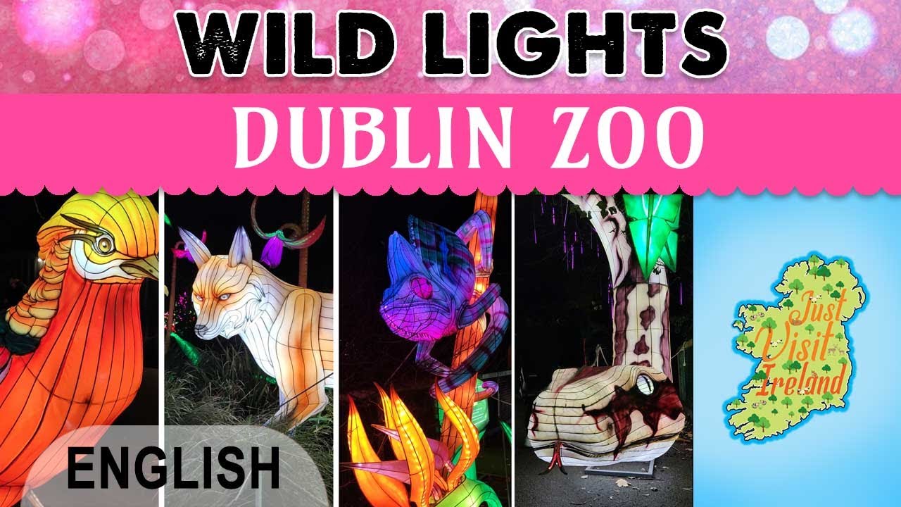 DUBLIN - Wild Lights Zoo