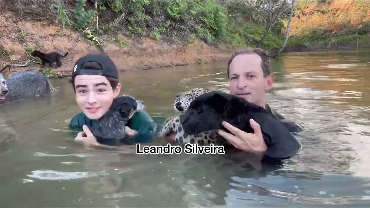 Que final de domingo incrível com a creche do Instituto Onça Pintada. Vale a pena conferir 🐈‍⬛🐕🐆