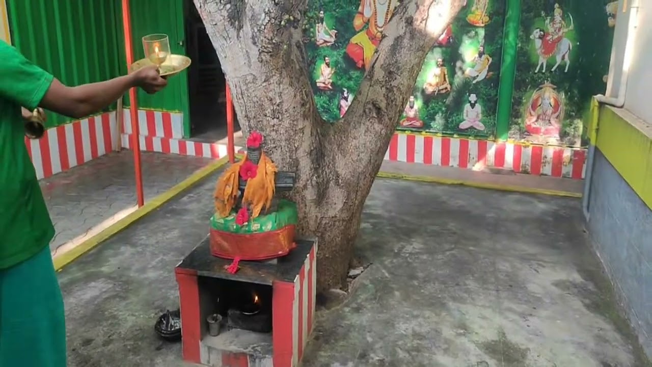 Highlight 0:00 – 2:49 from ஸ்ரீ ல ஸ்ரீ தேவி இராமசாமி சித்தர் அவர்களின் காலை தரிசனம்