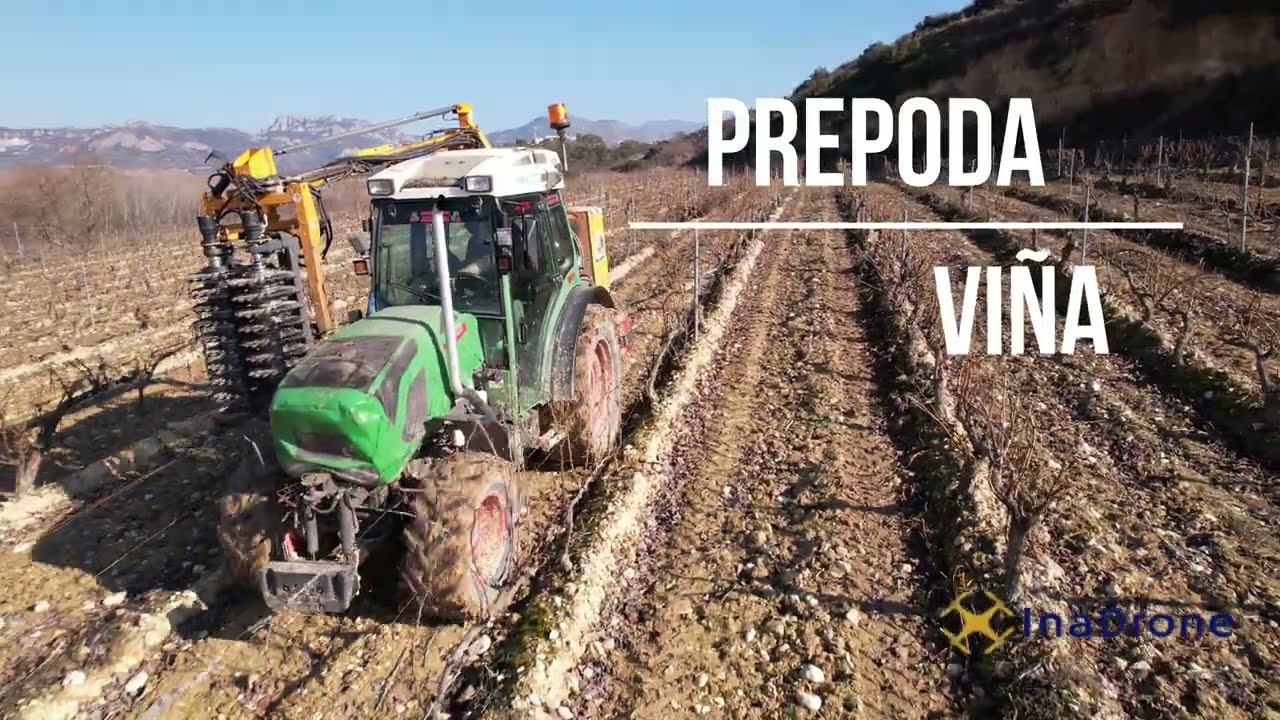 Prepoda viña