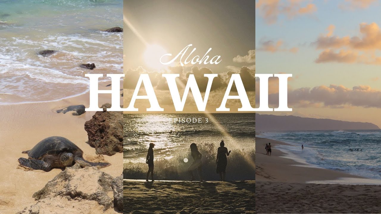 HAWAII VLOG EP 3. | north shore, dole plantation, laniakea beach, shark's cove, sunset beach