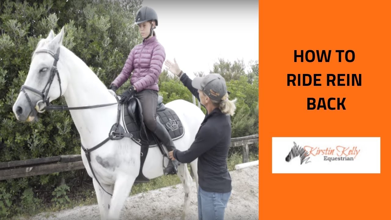 How to ride rein back with Kirstin Kelly