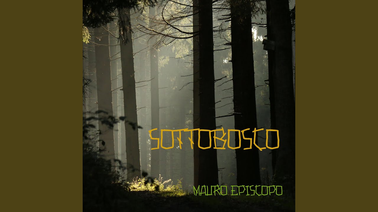 Sottobosco