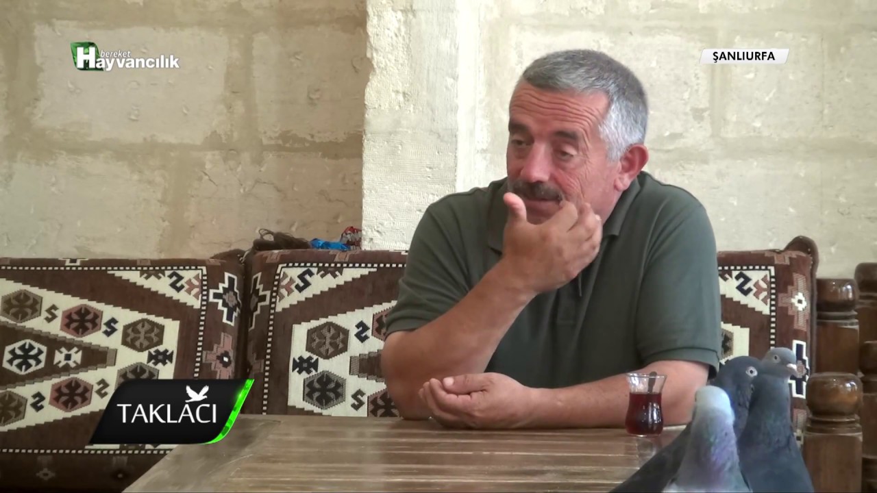 Taklacı - Şanlıurfa Güvercin Sohbetleri / 3. Bölüm