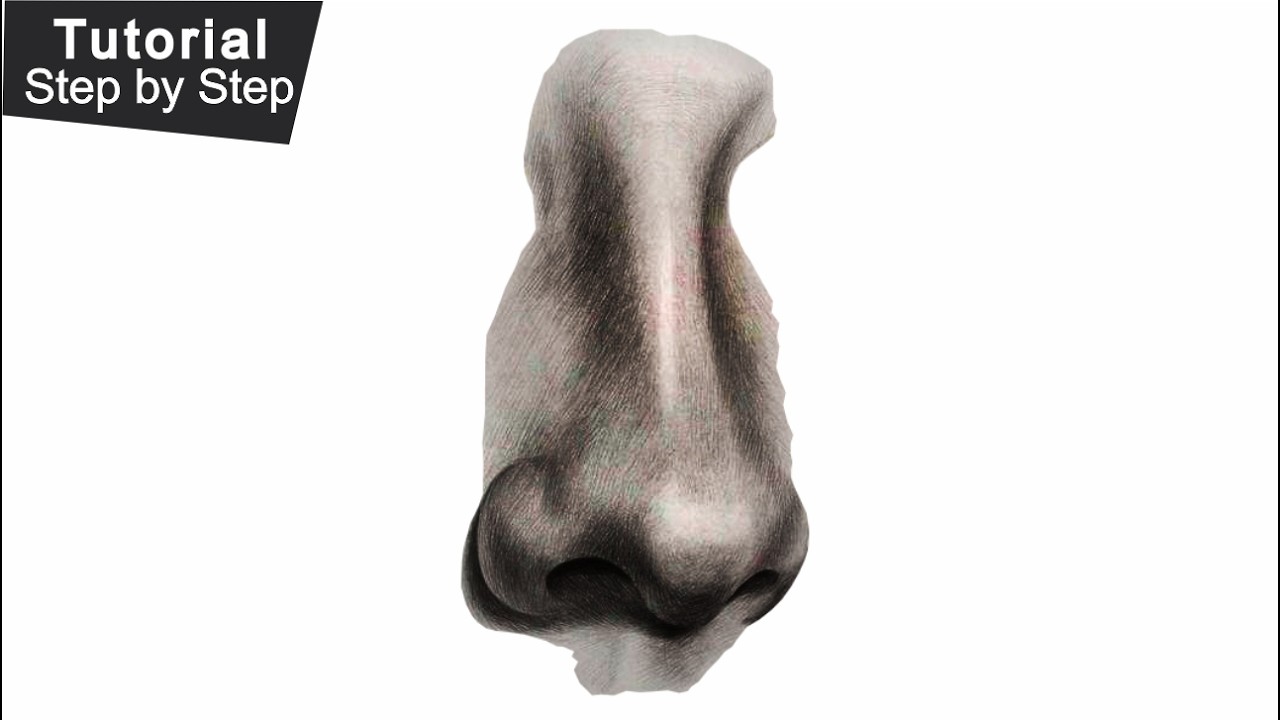 SIMPLE STEPS TO DRAW REALISTIC NOSE -  FOR BEGINNERS #logooarts