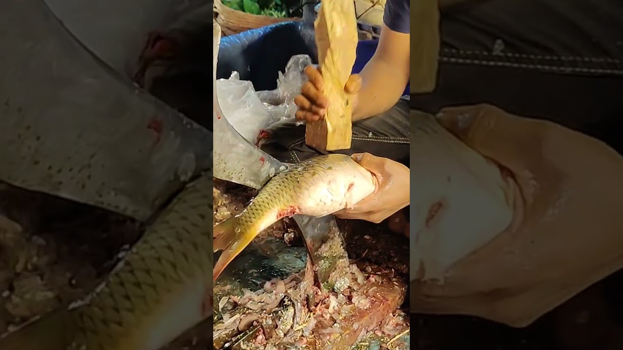 Cutting Carp Fish #shorts #fish #mhkstudio