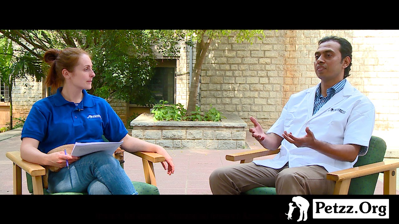 Puppy Dog Vaccination and Deworming