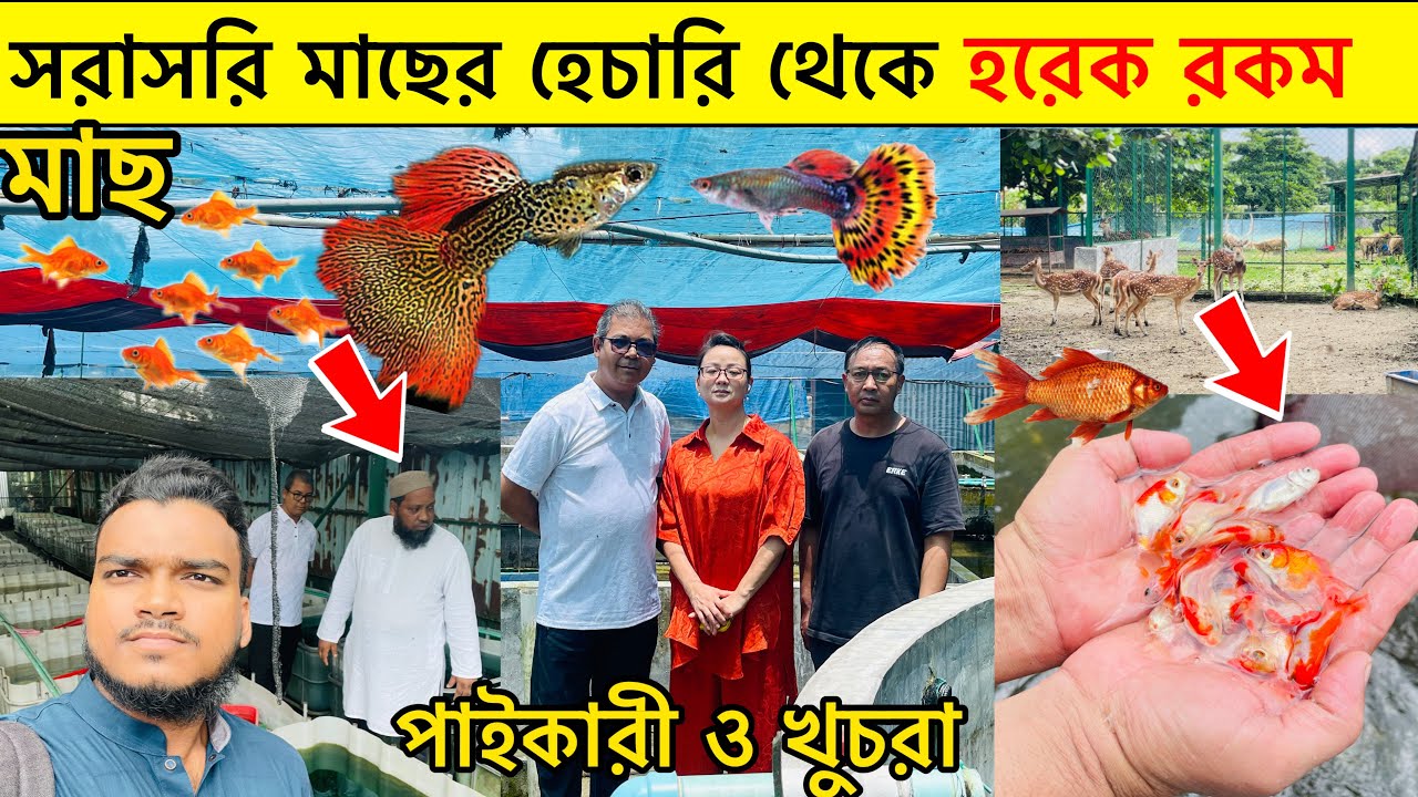 Aquarium Price In Bangladesh🐠Aquarium Fish Price In Bangladesh 2024😱 Aquarium Fish Price In katabon