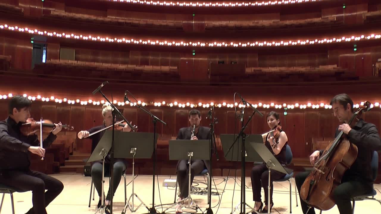 Weber Clarinet Quintet First Mvt