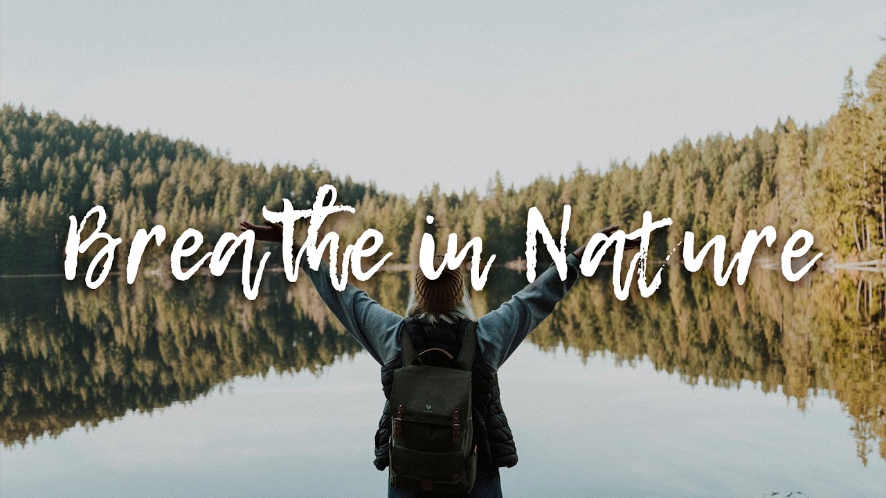 Breathe in Nature | Soft Indie Melodies (1-Hours)✅