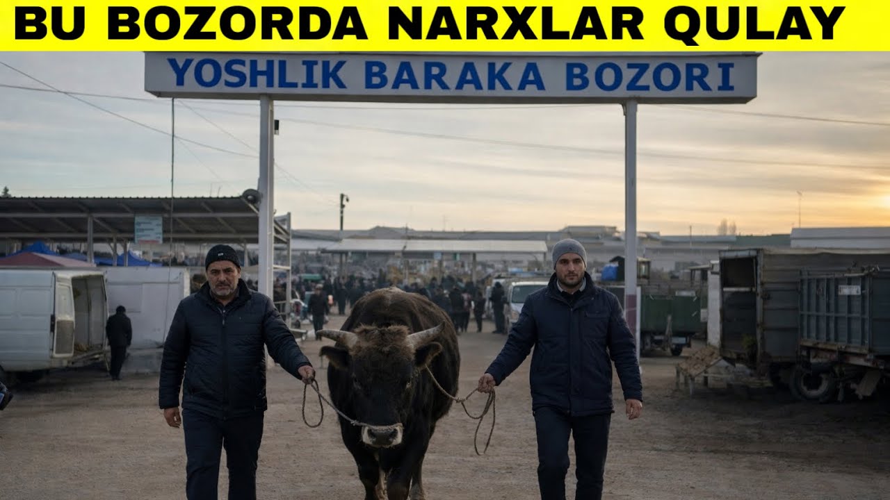 Narxlari Ancha Qulay.Namangan Chorva Bozori