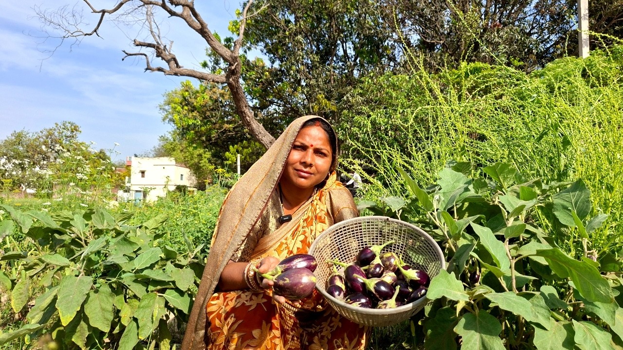 यकीन मानिये ज़ब भी बैंगन के साथ ये रोटी बनाती हुँ  मेरी अन्नू को सबसे पहले खाने को चाहिए |बैंगन सब्जी