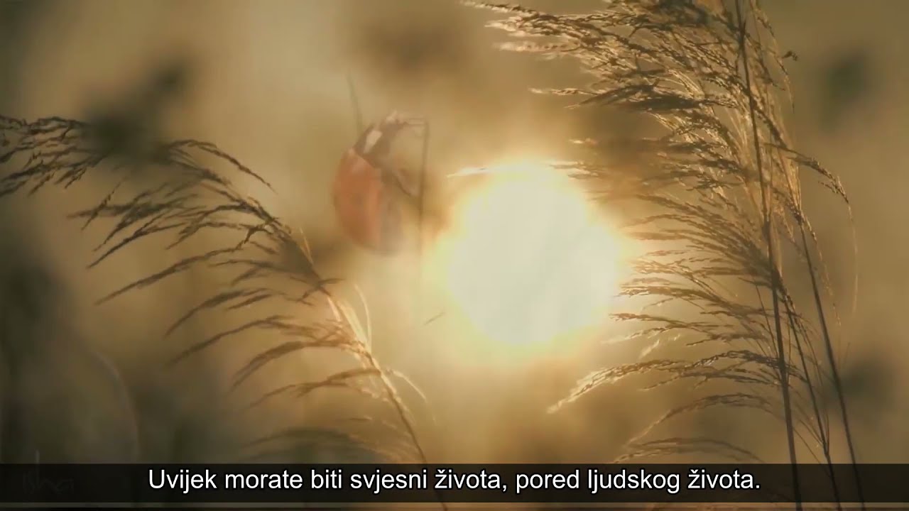 Na&scaron; okoli&scaron; je na&scaron; život