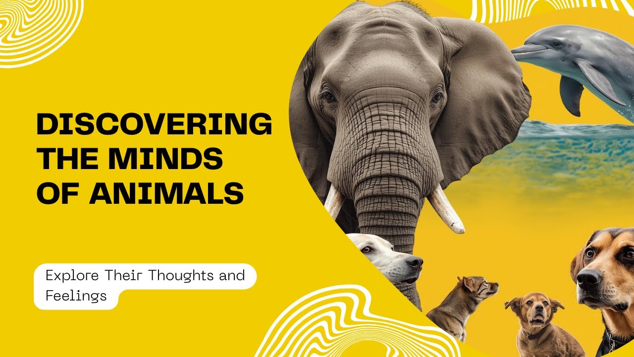 Discovering the Minds of Animals | Book What Animals Think and Feel