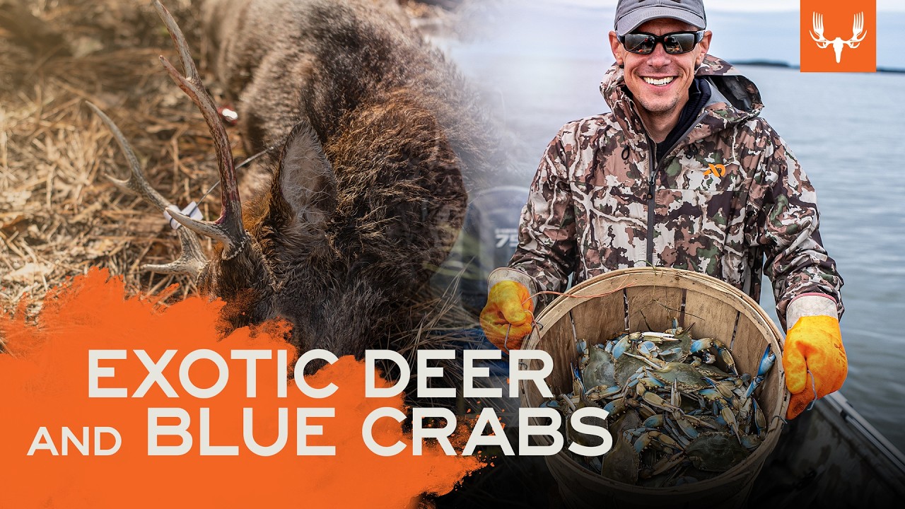 MeatEater Season 8 | Hunting Sika Deer & Trotlining for Blue Crabs