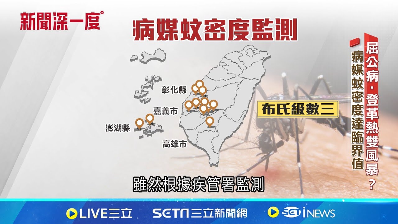 屈公病.登革熱雙風暴? 病媒蚊密度達臨界值 │新聞深一度20250806｜三立新聞台
