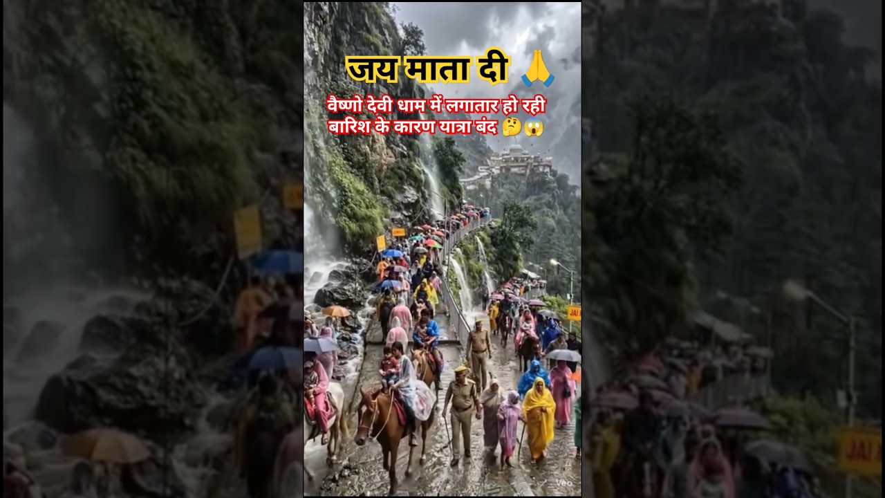 लगातार बारिश से यात्रा प्रभावित 🤔😱#shorts #trending #vaishnodevi #rain #shortsfeed