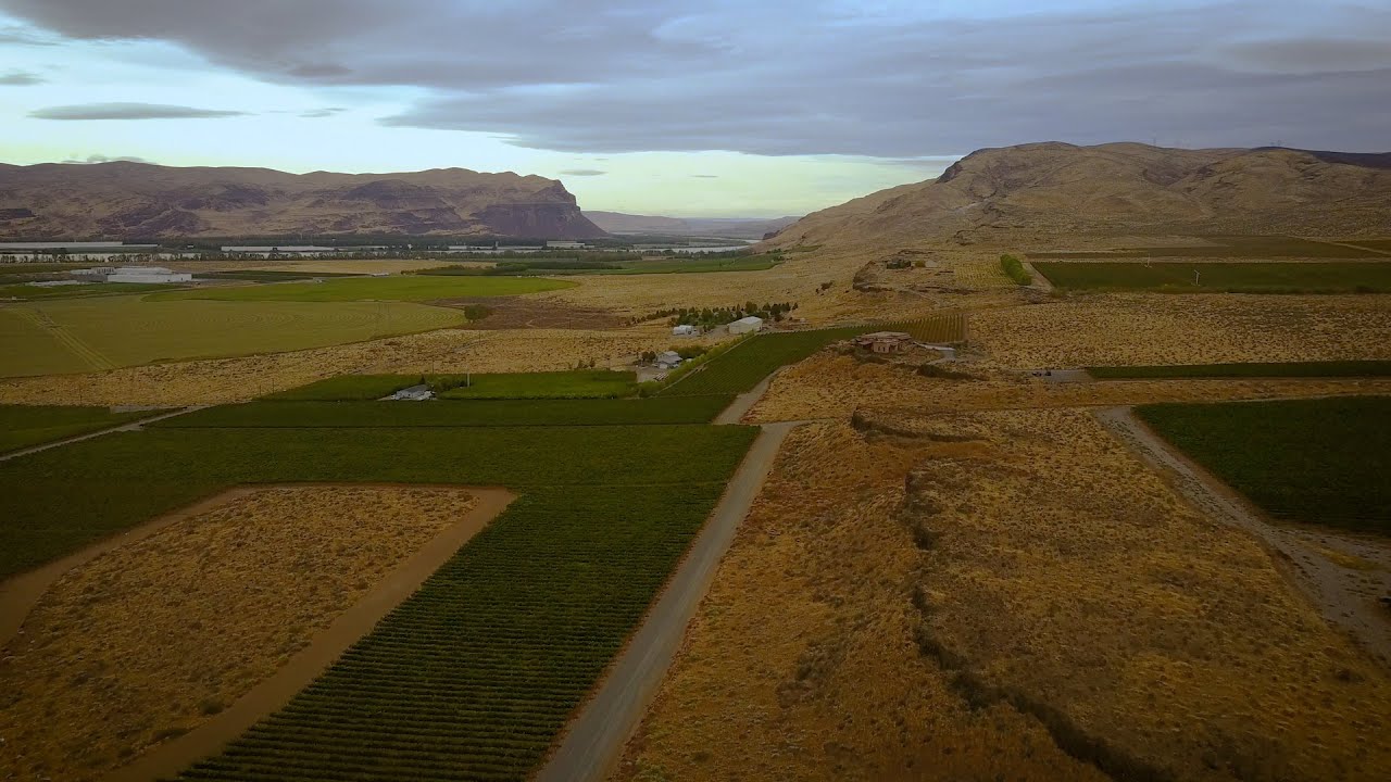Maryhill Vineyard Series Tour: Milbrandt