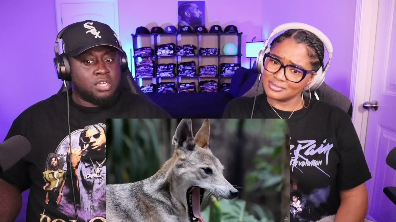Kidd and Cee Reacts To The Candid Affairs of the Canine Family (Casual Geographic)