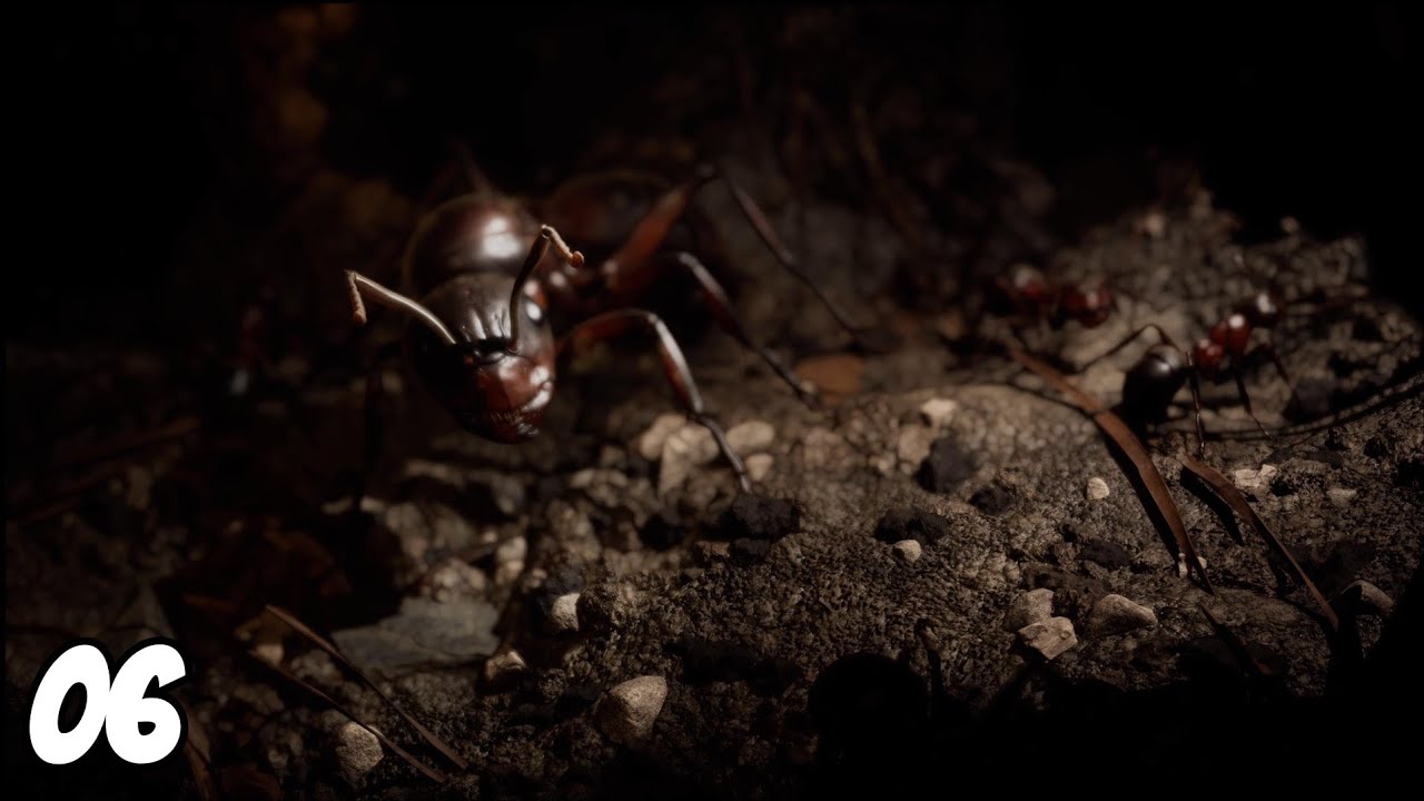 Les Fourmis Épisode #06