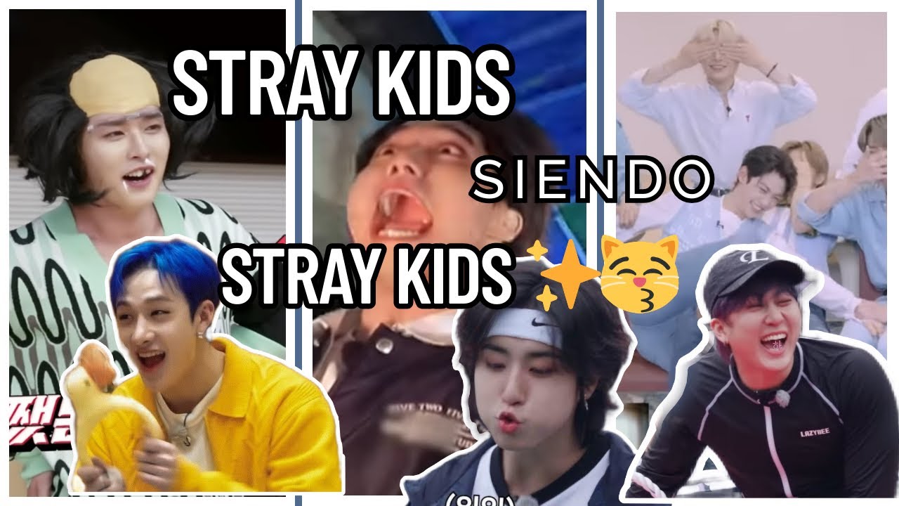 STRAY KIDS SIENDO STRAY KIDS 😽✨