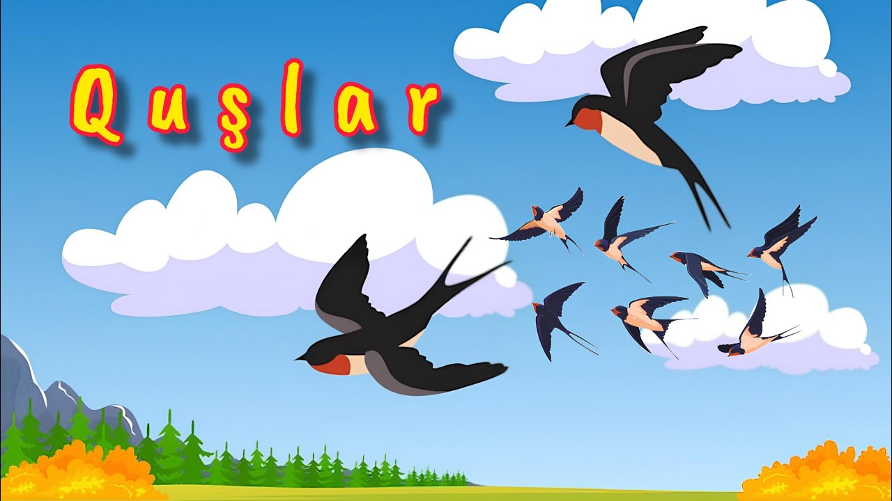 Uşaq mahnilari - Quşlar quşlar ay quşlar | Official audio
