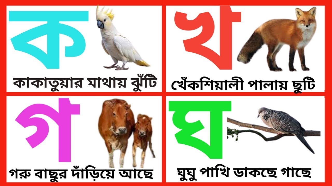 ক খ গ ঘ ঙ বাংলা বর্ণমালা| ক এ কাতাতুয়ার মাথায় ঝুঁটি | ka kha gha|Bangla bornomala|Banjonoborno/57