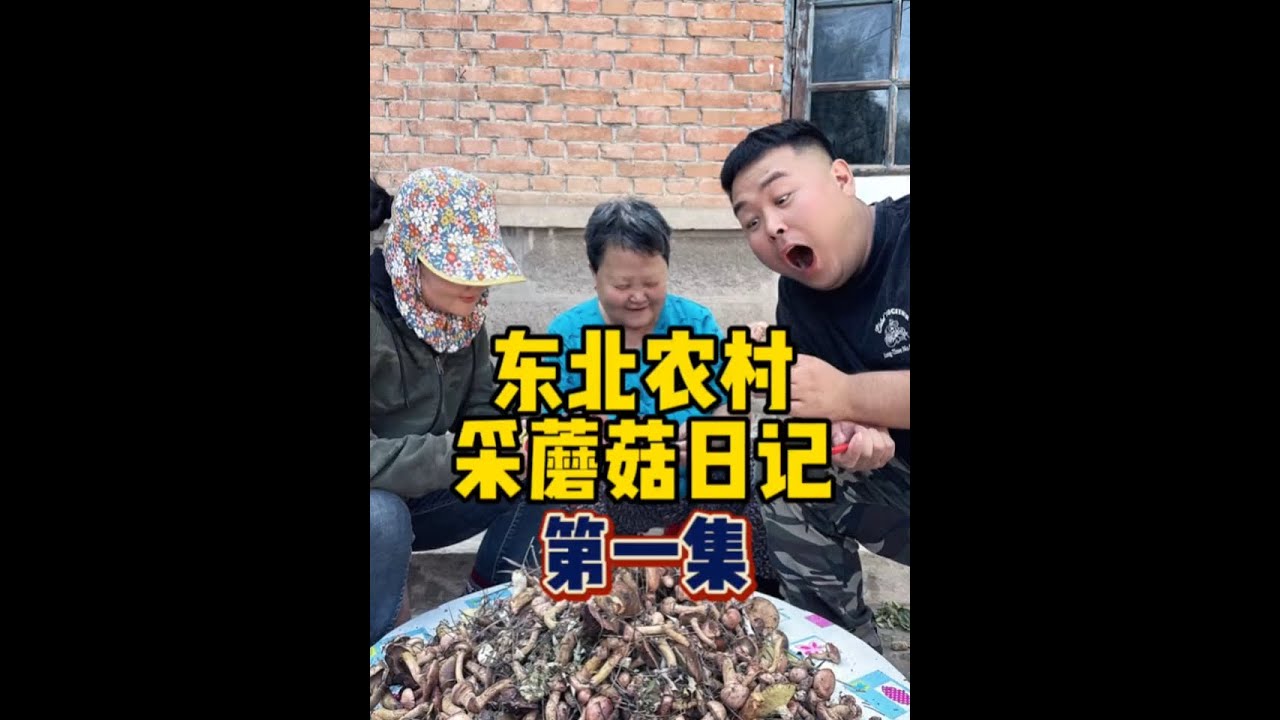 采蘑菇太过瘾了，你们来不了带你们云采蘑菇吧！#我的乡村生活 #山货