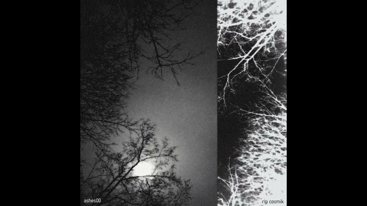 ashes00 - rip cosmik EP
