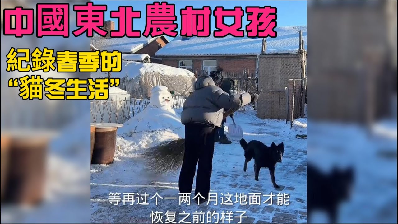 中國女孩紀錄東北農村的春季“貓冬”生活｜中國農村｜農村日常｜雪地｜農村美食｜手工DIY｜狗狗