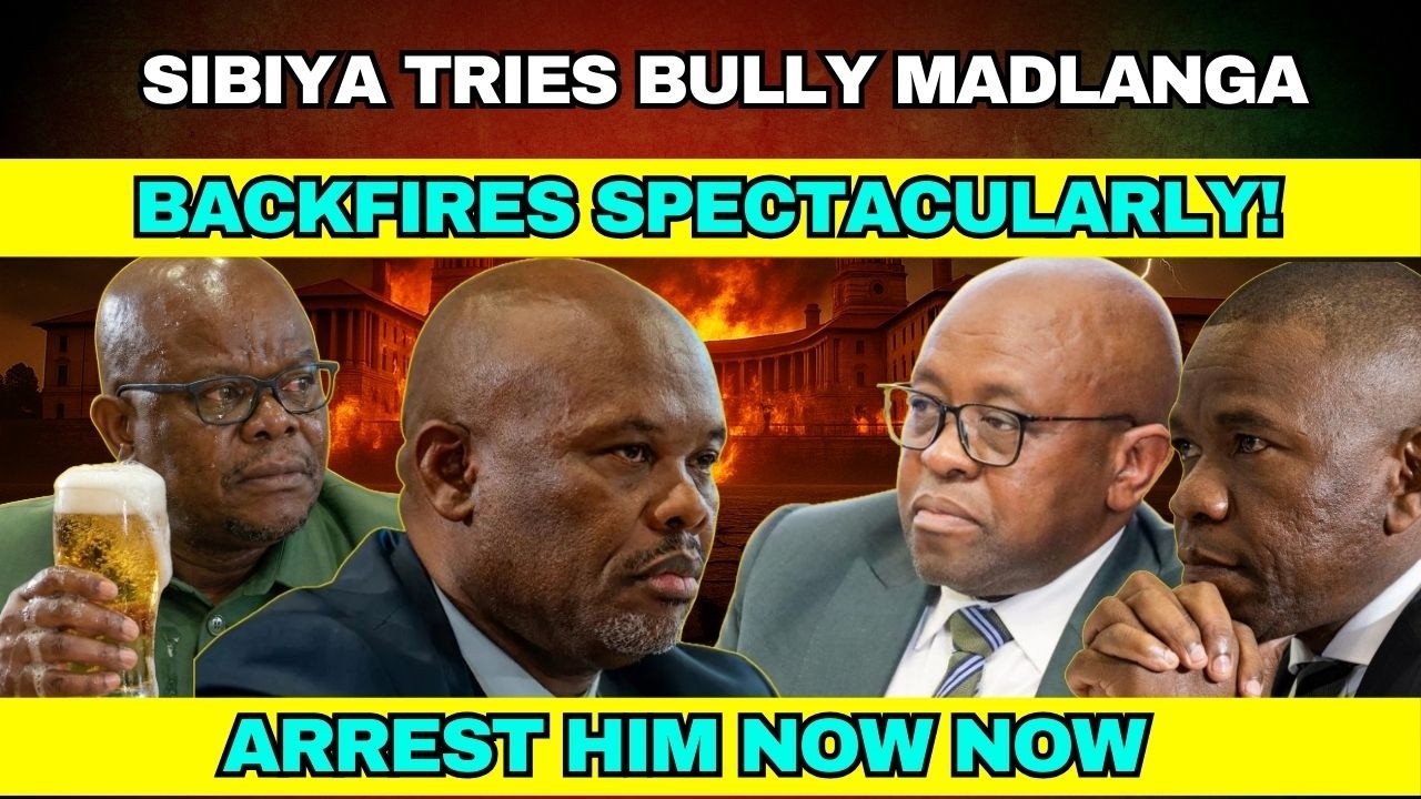 Arrogant Sibiya Tries BULLY Madlanga-BACKFIRES Spectacularly!