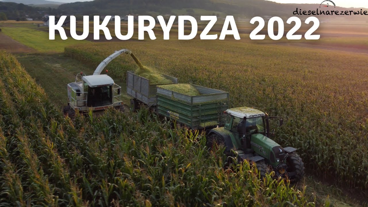 🔥KUKURYDZA 2022🔥 6 zestawów na jednym polu ★FENDT★dieselnarezerwie✓
