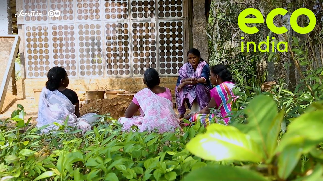 Eco India: Meet the woman leading a herbal medicine & grassroots wellness renaissance in Tamil Nadu