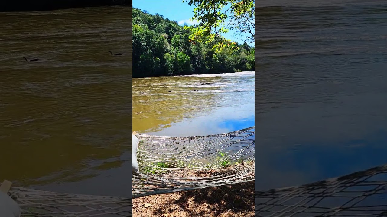 Peaceful Chattahoochee River: Atlanta's Scenic Waterway & Riverside Relaxation in 4K