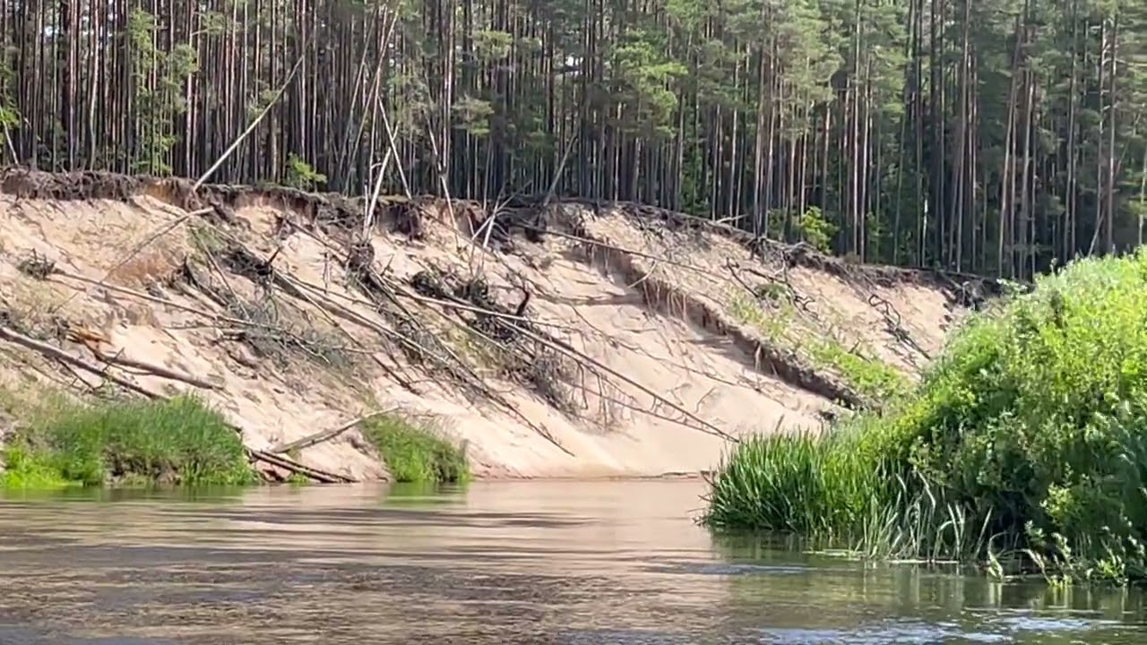 Irbe / River in Latvia, Boat trip. June 2025 #traveling #river #boatrides #nature