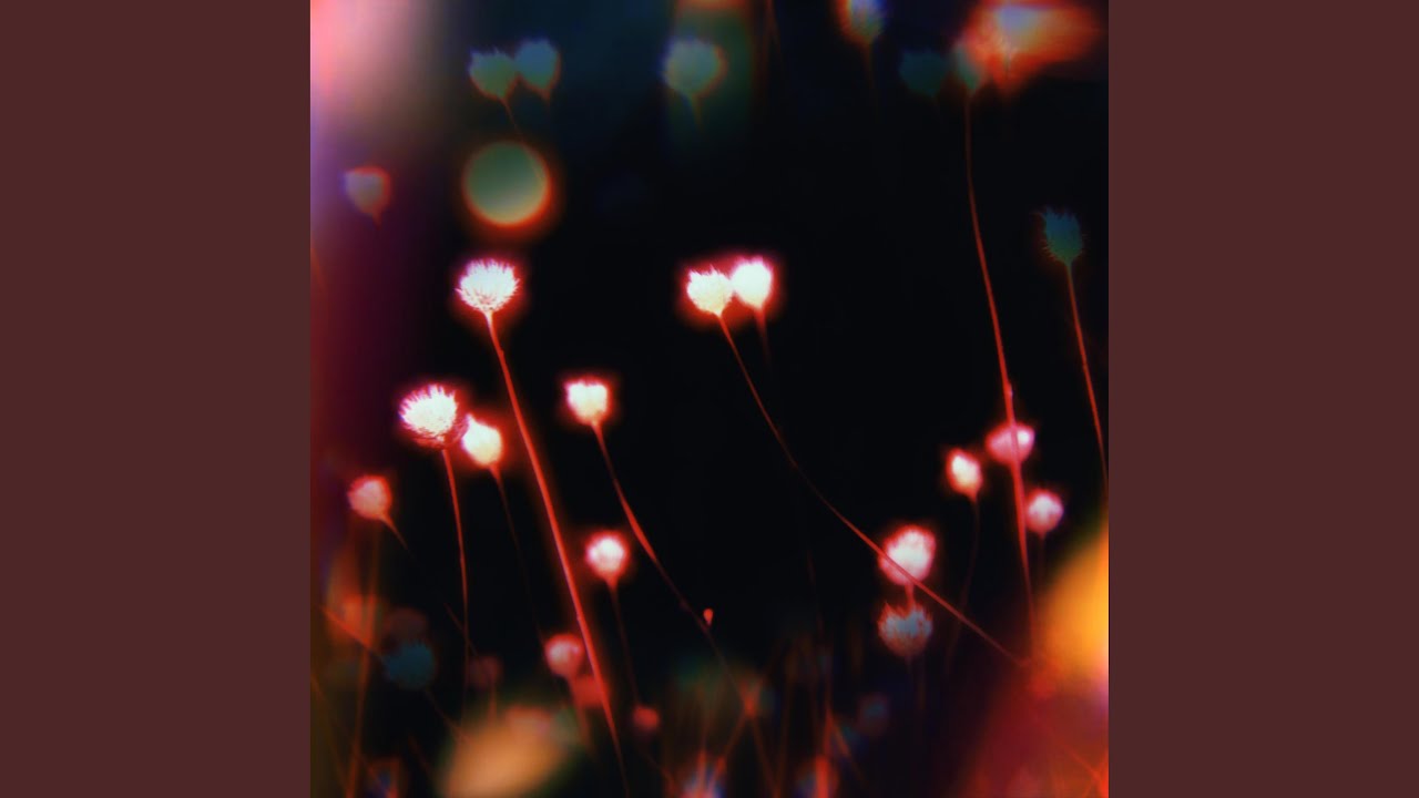 Sparks
